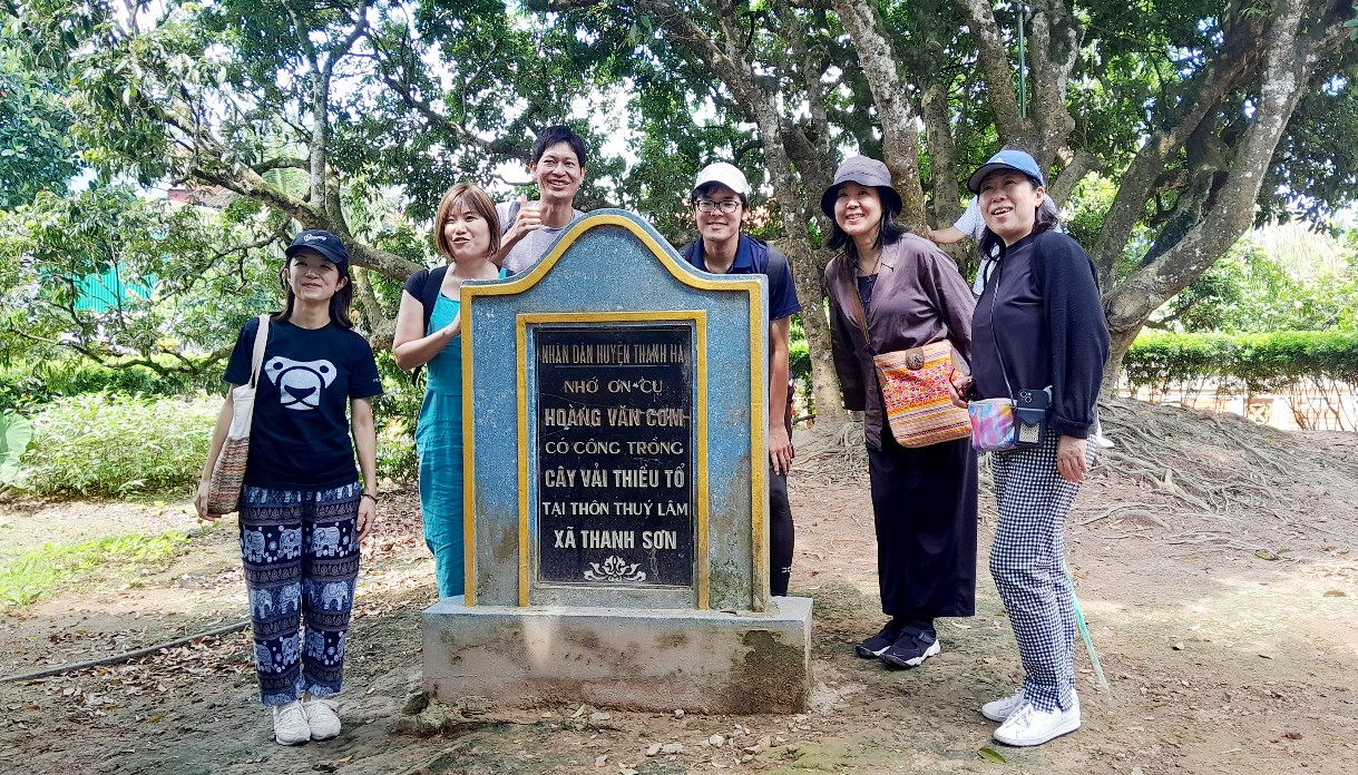 Du khách Hàn Quốc chụp ảnh lưu niệm tại cây vải tổ ở Hải Dương